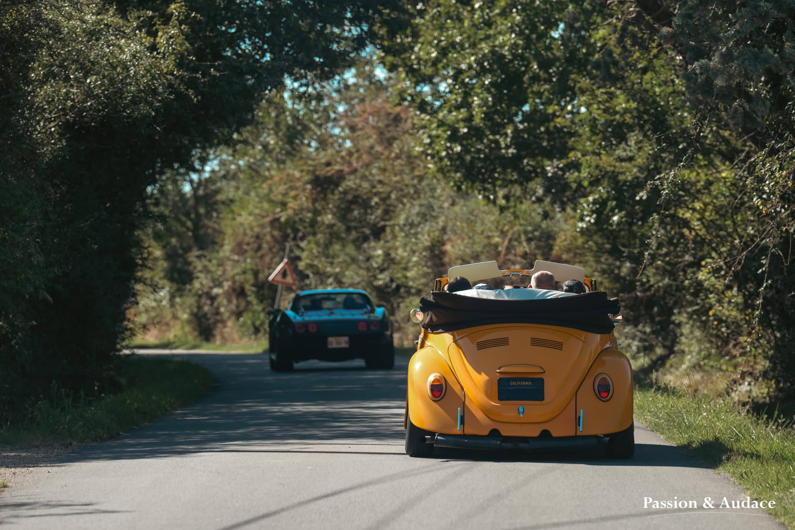 Photographie type cinématographique d'une Volkswagen Coccinelle rétro de couleur jaune orange suivant un véhicule sur la route. Image de verdure de part et d'autre se joignant au dessus des véhicules tel un pont. Photo par Passion & Audace